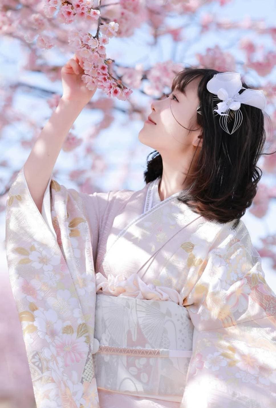 豪華正絹振袖(含髮型)